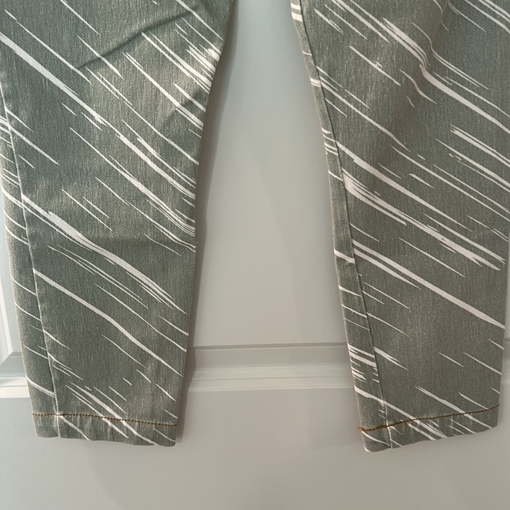 LYSSE Sage Green Patterned Ankle Pants - Picture 5 of 10